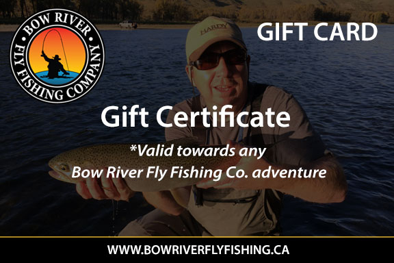 Bow River Fly Fishing Trips & Fishing Lessons with Guides