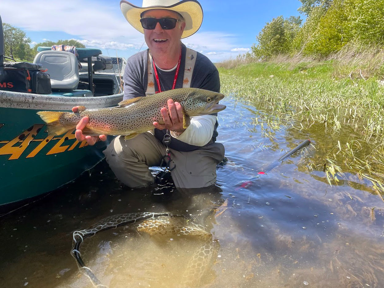 guide kevin with rainbow trout on bow river bank.